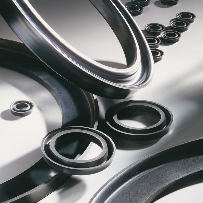 Gapi UK Products LIP SEALS