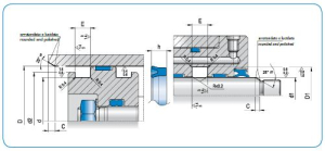 Diagram - RPS Type Rod/Piston Seal