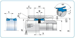 Diagram - MPS Type Magnetic Piston Seal